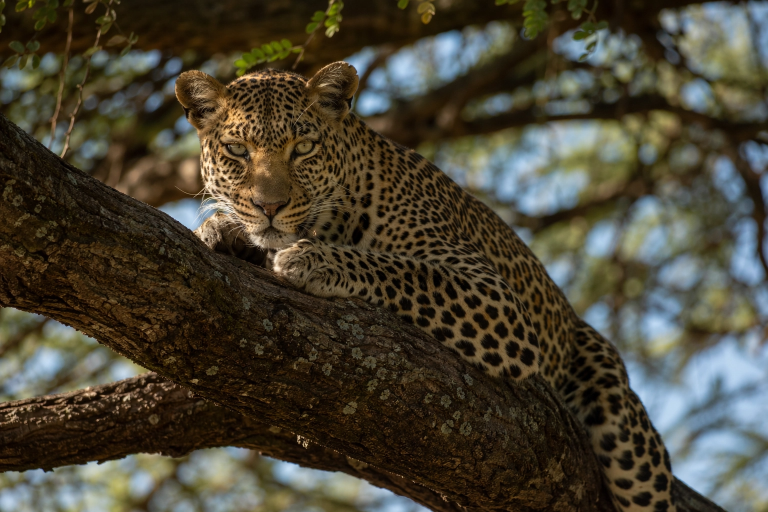 Day Trips from Nairobi – Wild Adventures Close to the City